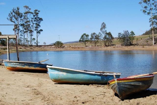 Gumleaves Bush Holidays Little Swanport Εξωτερικό φωτογραφία