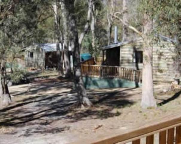 Gumleaves Bush Holidays Little Swanport Εξωτερικό φωτογραφία